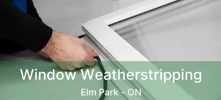  Window Weatherstripping Elm Park - ON