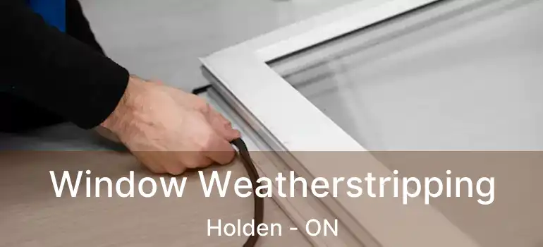  Window Weatherstripping Holden - ON