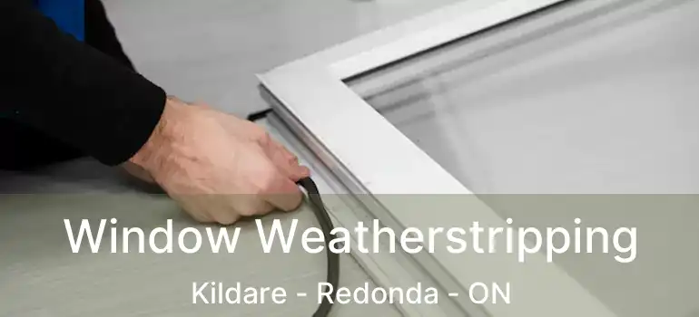  Window Weatherstripping Kildare - Redonda - ON