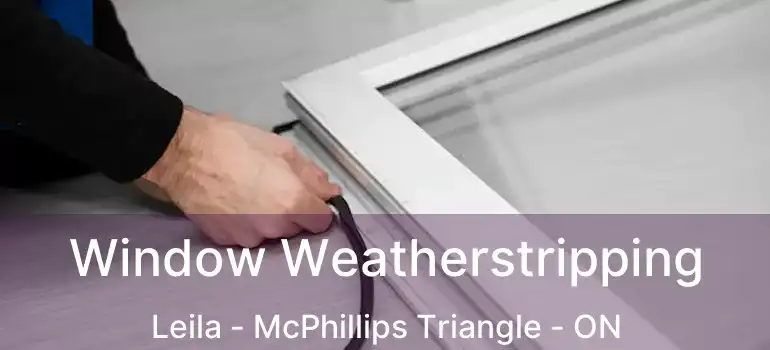  Window Weatherstripping Leila - McPhillips Triangle - ON