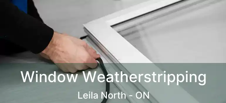  Window Weatherstripping Leila North - ON
