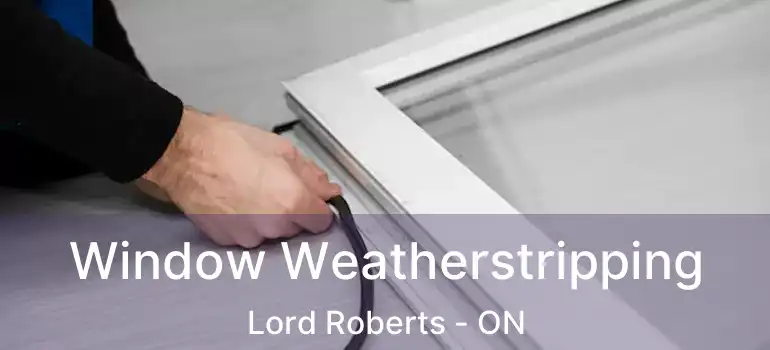  Window Weatherstripping Lord Roberts - ON