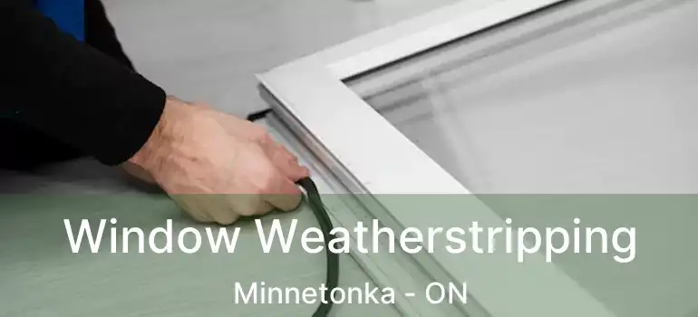  Window Weatherstripping Minnetonka - ON