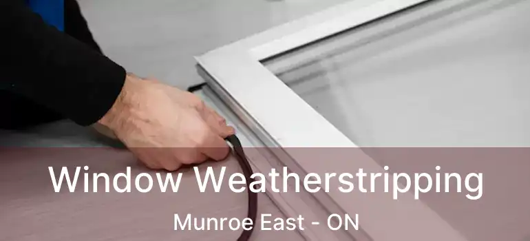  Window Weatherstripping Munroe East - ON