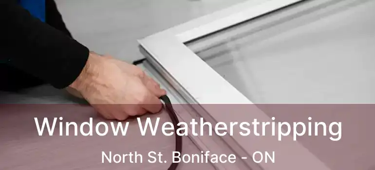  Window Weatherstripping North St. Boniface - ON