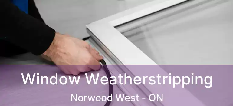  Window Weatherstripping Norwood West - ON