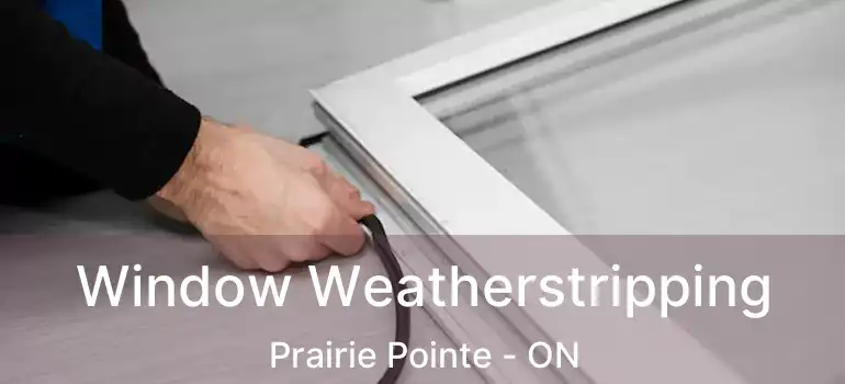  Window Weatherstripping Prairie Pointe - ON