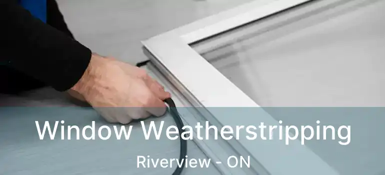  Window Weatherstripping Riverview - ON