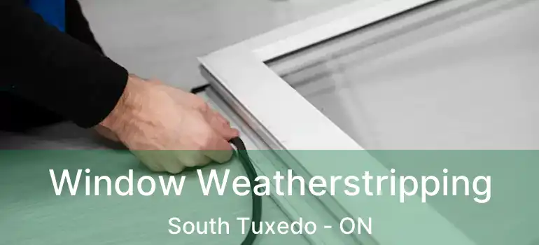  Window Weatherstripping South Tuxedo - ON