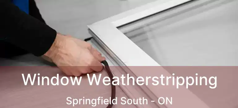 Window Weatherstripping Springfield South - ON