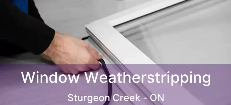  Window Weatherstripping Sturgeon Creek - ON