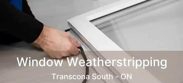  Window Weatherstripping Transcona South - ON