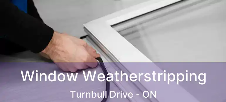  Window Weatherstripping Turnbull Drive - ON