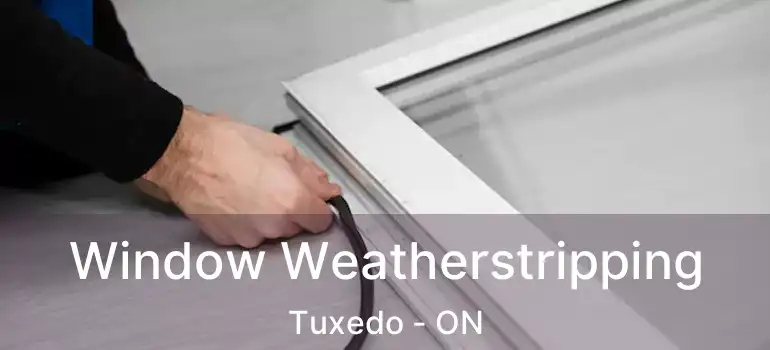  Window Weatherstripping Tuxedo - ON