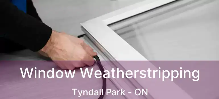  Window Weatherstripping Tyndall Park - ON