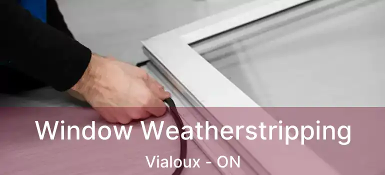  Window Weatherstripping Vialoux - ON