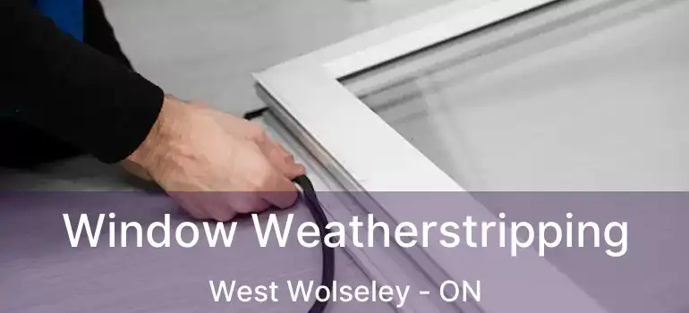 Window Weatherstripping West Wolseley - ON