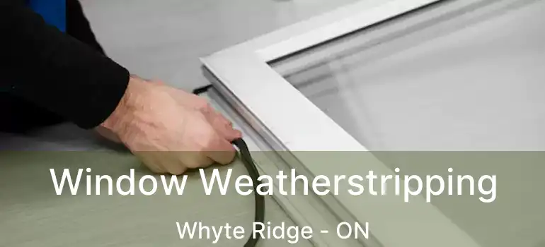  Window Weatherstripping Whyte Ridge - ON