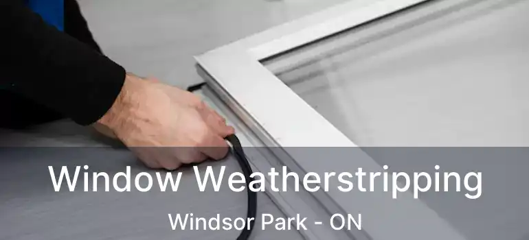  Window Weatherstripping Windsor Park - ON
