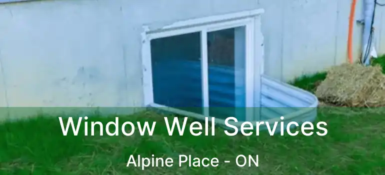  Window Well Services Alpine Place - ON
