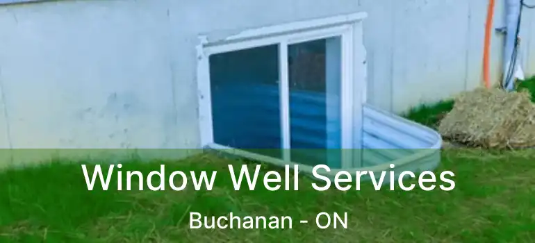  Window Well Services Buchanan - ON