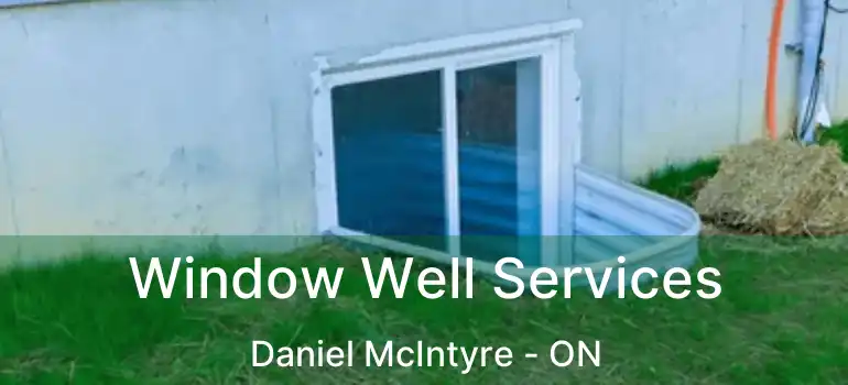  Window Well Services Daniel McIntyre - ON