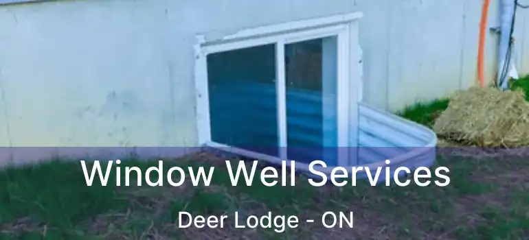  Window Well Services Deer Lodge - ON