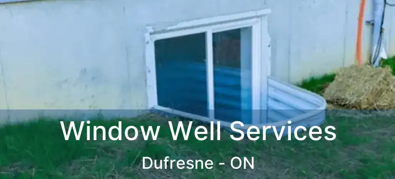  Window Well Services Dufresne - ON