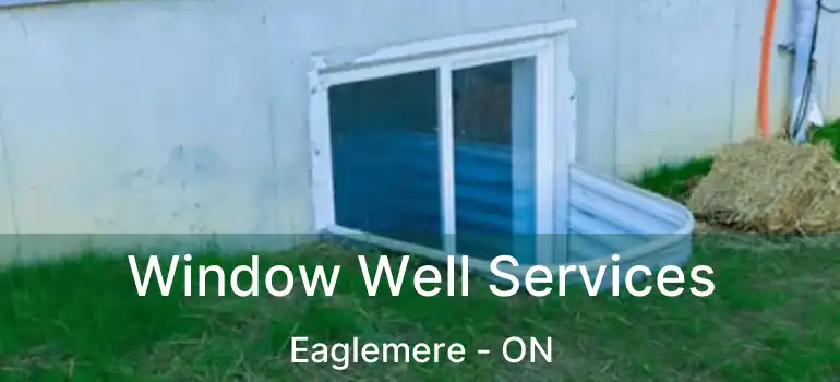 Window Well Services Eaglemere - ON