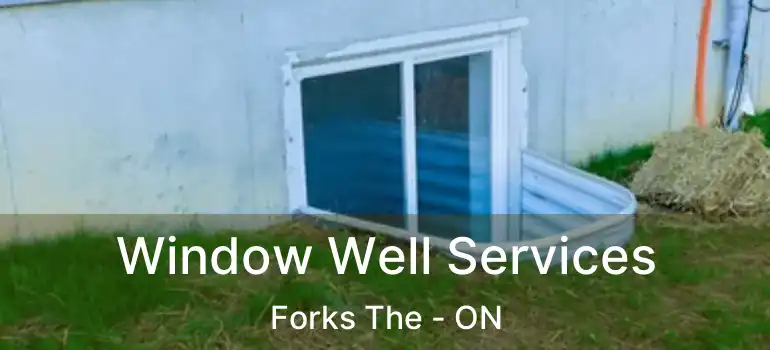  Window Well Services Forks The - ON