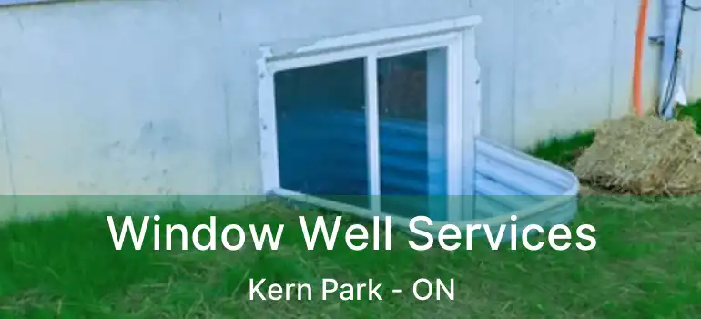  Window Well Services Kern Park - ON