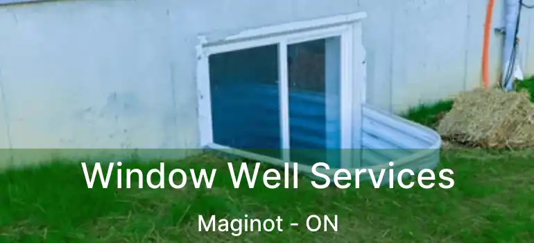  Window Well Services Maginot - ON