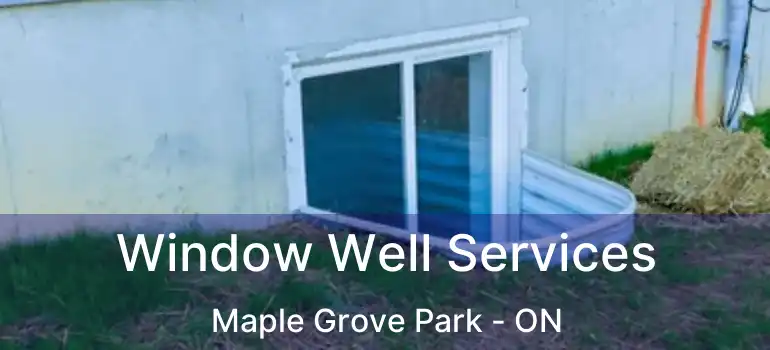  Window Well Services Maple Grove Park - ON