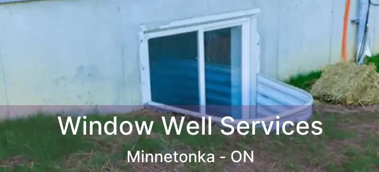  Window Well Services Minnetonka - ON