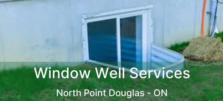  Window Well Services North Point Douglas - ON