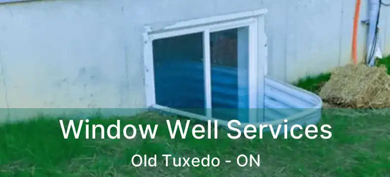  Window Well Services Old Tuxedo - ON