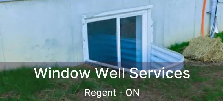  Window Well Services Regent - ON
