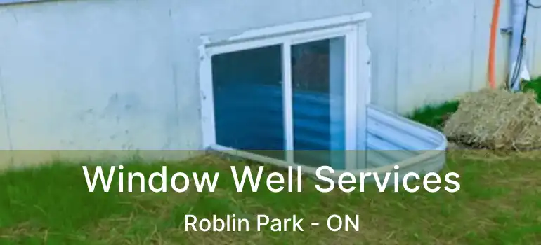  Window Well Services Roblin Park - ON