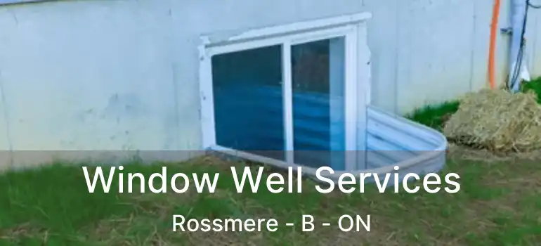  Window Well Services Rossmere - B - ON