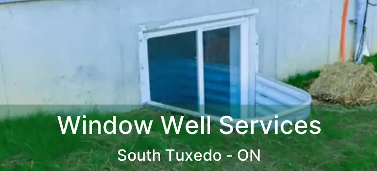  Window Well Services South Tuxedo - ON