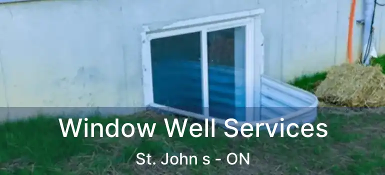  Window Well Services St. John s - ON