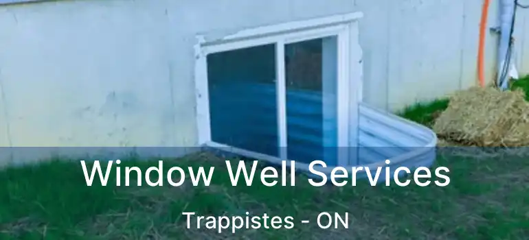  Window Well Services Trappistes - ON