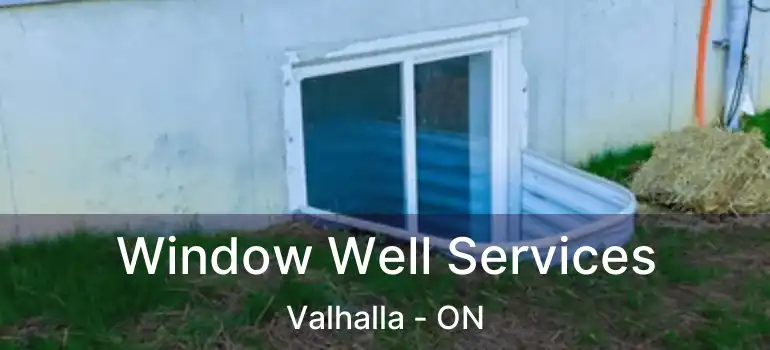  Window Well Services Valhalla - ON