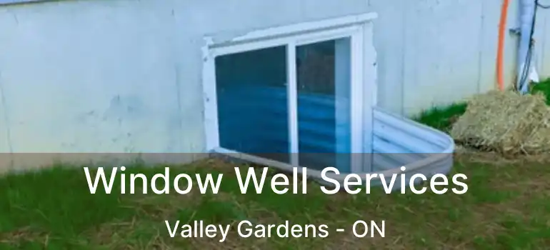  Window Well Services Valley Gardens - ON