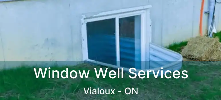  Window Well Services Vialoux - ON