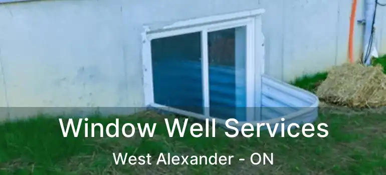  Window Well Services West Alexander - ON
