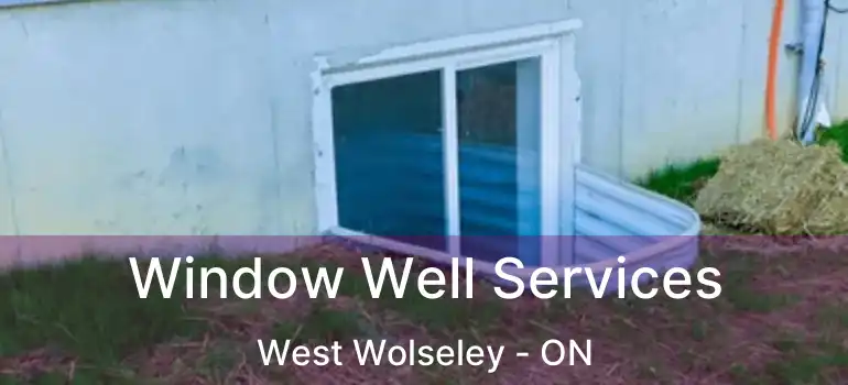  Window Well Services West Wolseley - ON