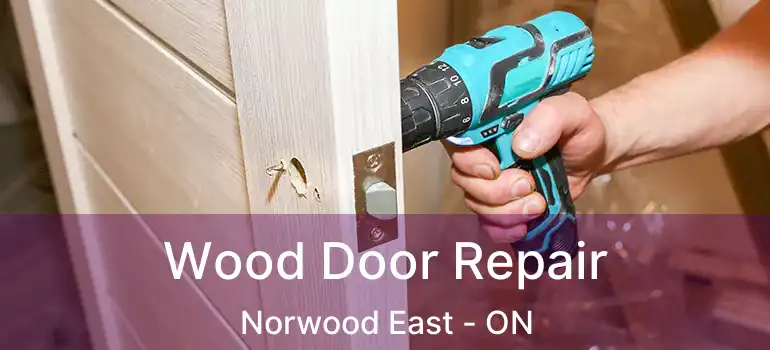  Wood Door Repair Norwood East - ON
